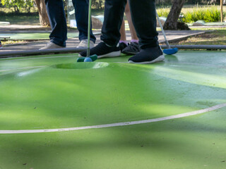 Putting for Success on the Mini Golf Course