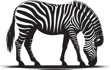 Zebra Silhouette vector illustration