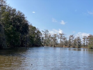 Photo of bayou, wetlands hardwood forest, swamp, and marsh habitats in Barataria Preserve within Jean Lafitte National Historical Park and Preserve, Jefferson Parish, Louisiana USA.