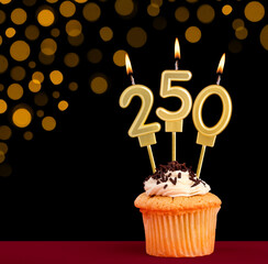 Number 250 birthday candle - Cupcake on black background with out of focus lights