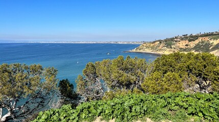 Obraz premium view of the coast of the sea