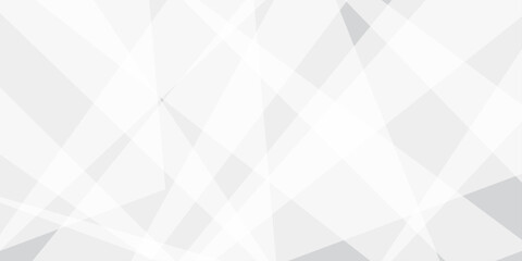 Abstract background with white and gray and geometric style with simple lines and corners, polygons as background geometric style with simple lines and corners, polygons as background paper texture	