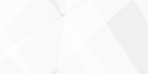 Abstract background with white and gray and geometric style with simple lines and corners, polygons as background geometric style with simple lines and corners, polygons as background paper texture	