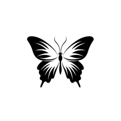 Obraz premium butterfly isolated on white, butterfly silhouette 