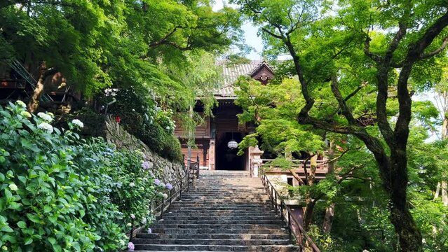 奈良 総本山長谷寺 本堂に向かう石畳の階段