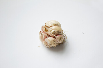 Garlic on a white background.