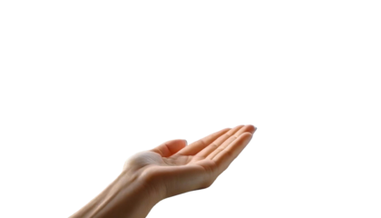 女性の手首から手にかけての写真。しなやかさ、優しさを表現している。