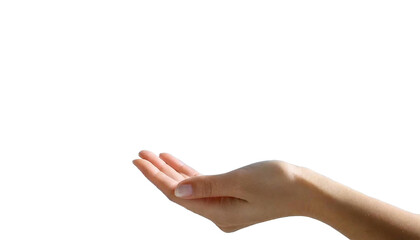 女性の手首から手にかけての写真。しなやかさ、優しさを表現している。