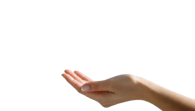 女性の手首から手にかけての写真。しなやかさ、優しさを表現している。