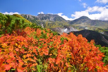 秋の立山連峰　ハイキング