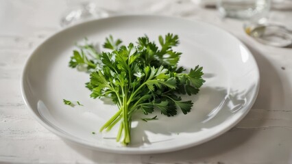 A fresh green parsley sprig, on a white ceramic plate.