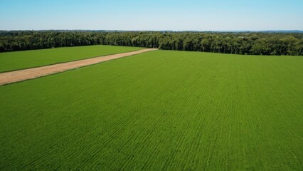 Obraz premium a photograph of an aerial view of a green field with trees and a blue sky in the background