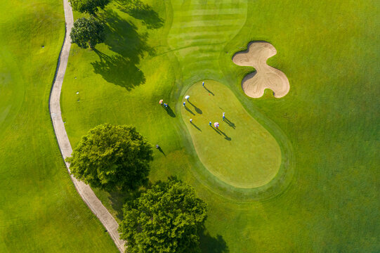 Golf course sport, green grass and trees on a golf field, fairway and putting green top view. Golf course with a rich green turf beautiful scenery.