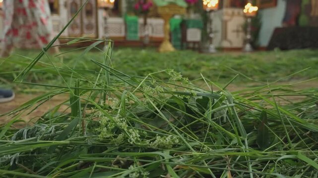 On the feast of the Holy Trinity, the floor in the temple is covered with freshly mown green grass. A religious holiday. Religion, the Orthodox faith.
