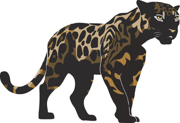 A Jaguar Illustration vector .