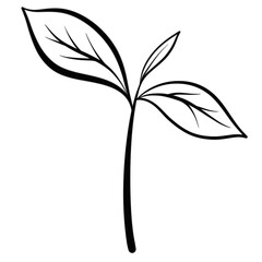 Black doodle small tree.	