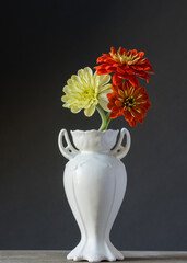 Three zinnia flowers in an antique white vase