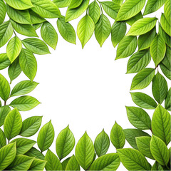 Macro Green leaves frame isolated on transparent background