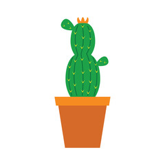 Cactus Home plant icon illustration