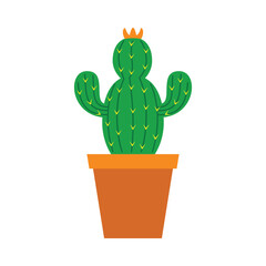 Cactus Home plant icon illustration