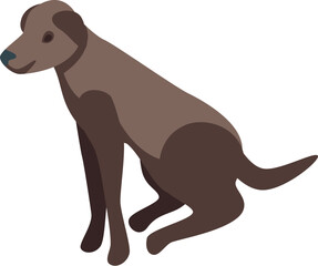 Brown labrador retriever sitting and looking to the side