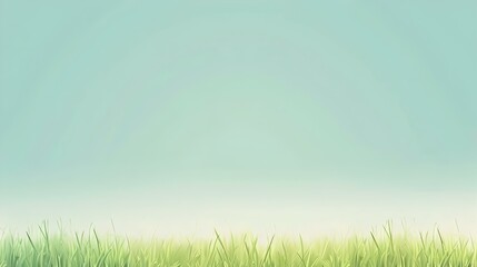 Obraz premium green grass and sky