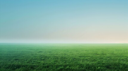 green field and blue sky