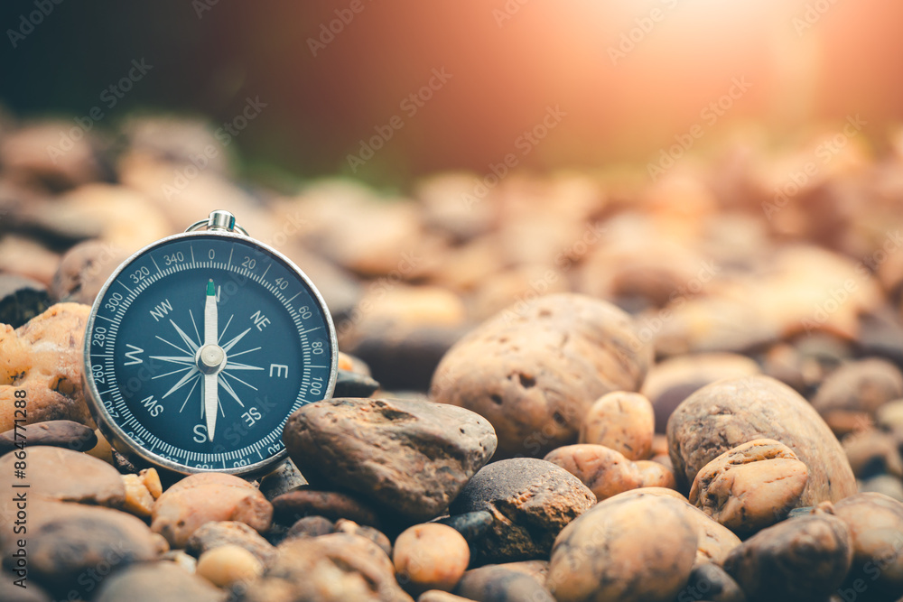 Wall mural travel of tourists with compass. compass of tourists on forest.