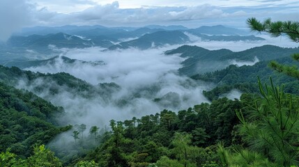 Mountains with Dense Forests