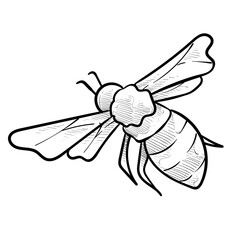 honey bee handdrawn illustration