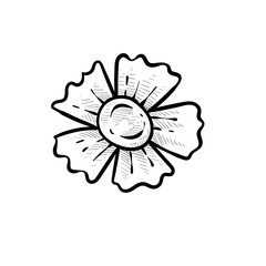 flower handdrawn illustration