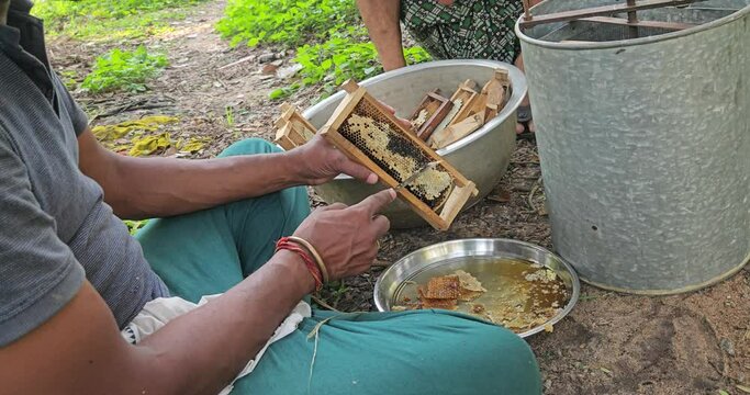 A Indian beekeeper extracting  honey with a honey extractor. Beekeeping. Honey production