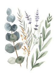 Obraz na płótnie Canvas Elegant Botanical Art with Eucalyptus, Lavender, and Fern in a Cohesive Color Palette
