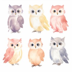 Fototapeta premium Cute watercolor illustrations of six colorful owls. Perfect for art prints, cards, and children's decoration.
