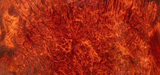 Natural Afzelia burl wood stripe is a wooden pattern