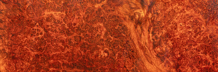 Natural Afzelia burl wood stripe is a wooden pattern