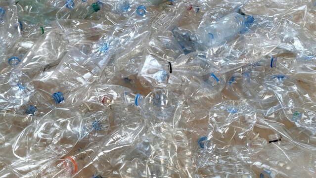Collected sorted by clear color and crushed PET plastic water bottles