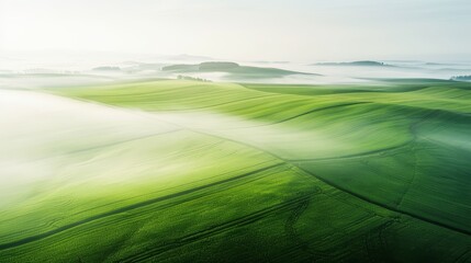 Green fields forming a patchwork pattern, aerial view at sunrise, morning mist adding a soft glow, detailed textures and peaceful vibes