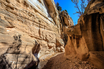 Willis Creek Slot Canyon, Grand Staircase Escalante National Monument, Utah