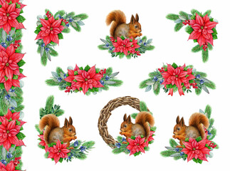 Winter season vintage style festive decor set with squirrel. Watercolor illustration. Painted cozy Christmas time decoration element set with conifer, poinsettia flower, squirrel. White background