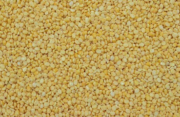 Yellow Moong Dal or Green Gram Beans Background with Copy Space in Horizontal Orientation