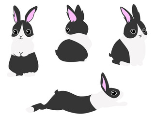 黒ハチワレうさぎ4ポーズセット