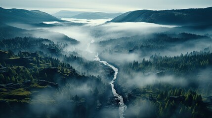 fog in the mountains