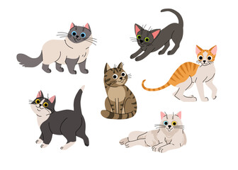 Cute cartoon cat set. Adorable domestic cats sitting, standing. Fluffy birman, black oriental, orange tabby cornish rex, black and white and grey. Lovely kitten flat vector collection.