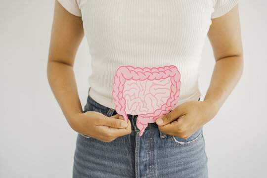 Gut Microbiome Images – Browse 25,615 Stock Photos, Vectors, and Video | Adobe Stock