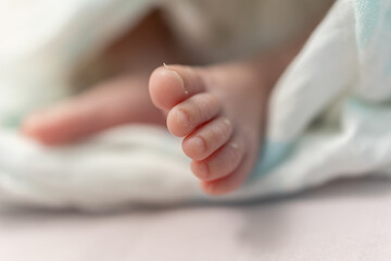 Abstract blur image of Newborn baby feet in parents hands