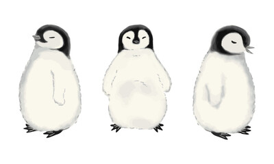 ペンギンの子たち