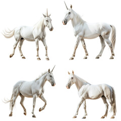 Obraz premium Set of white unicorn horses in different poses isolated on a transparent background
