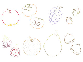 秋の果物の色付き線画