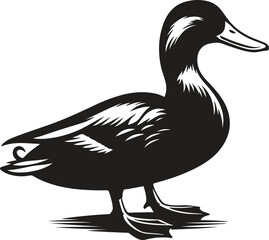 duck isolated on white